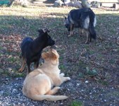 Enlarge photo 349