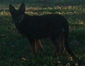 Enlarge photo 319