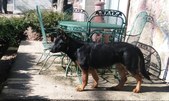 Enlarge photo 306