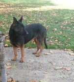 Enlarge photo 288