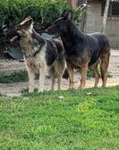 Enlarge photo 34