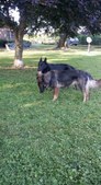 Enlarge photo 111