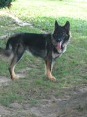 Enlarge photo 169