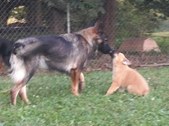 Enlarge photo 166