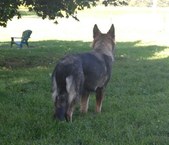 Enlarge photo 162