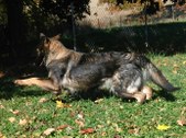 Enlarge photo 148