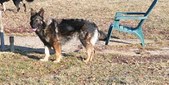 Enlarge photo 139