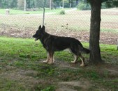 Enlarge photo 134