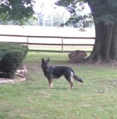 Enlarge photo 135