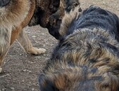 Enlarge photo 12