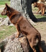 Enlarge photo 154