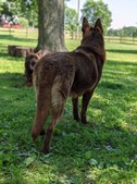 Enlarge photo 142