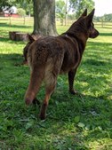 Enlarge photo 140