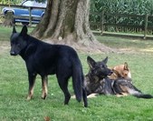 Enlarge photo 159