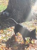 Enlarge photo 232