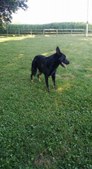 Enlarge photo 170