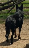 Enlarge photo 133