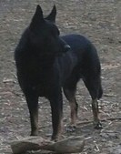 Enlarge photo 180