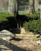 Enlarge photo 86