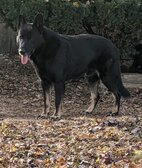 Enlarge photo 38