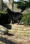 Enlarge photo 87