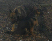 Enlarge photo 132