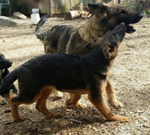 Enlarge photo 122