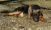 Enlarge photo 116
