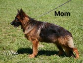 Enlarge photo 152