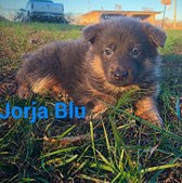 Enlarge photo 147