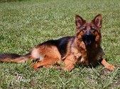 Enlarge photo 153