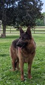 Enlarge photo 22