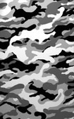 Enlarge photo 385