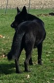 Enlarge photo 147