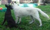 Enlarge photo 232