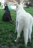 Enlarge photo 234