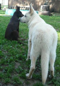 Enlarge photo 233