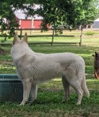 Enlarge photo 159