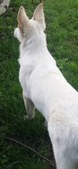 Enlarge photo 240
