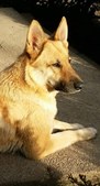 Enlarge photo 58