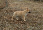 Enlarge photo 158