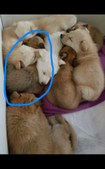 Enlarge photo 172
