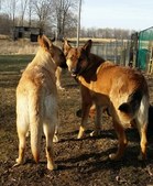 Enlarge photo 109