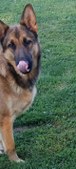 Enlarge photo 135