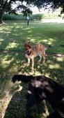 Enlarge photo 143