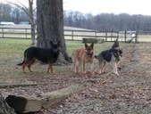 Enlarge photo 176