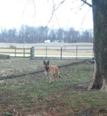 Enlarge photo 154