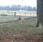 Enlarge photo 156