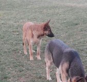 Enlarge photo 152