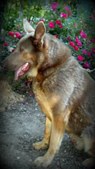 Enlarge photo 174